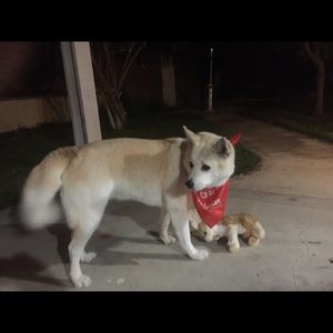 Meet your Posher, Joshua